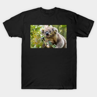 Koala eating gum leaves. T-Shirt